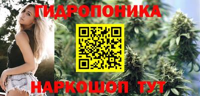кокс Тара
