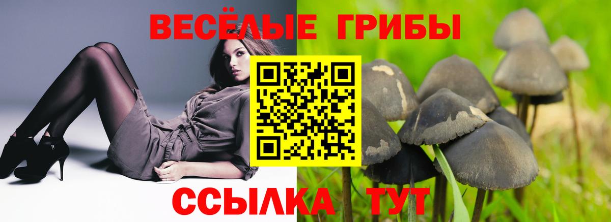 Псилоцибиновые грибы ЛСД Новодвинск